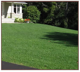 A Greener Seasons Lawn